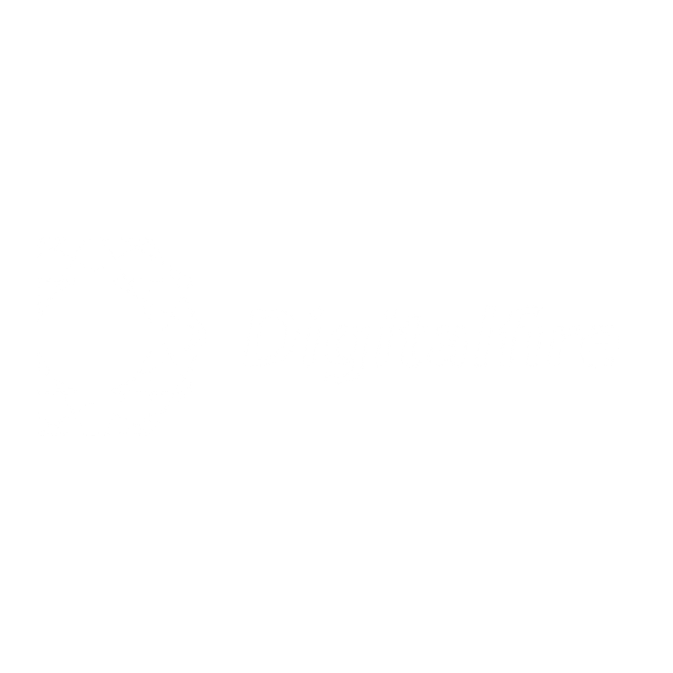 digitalfire logo